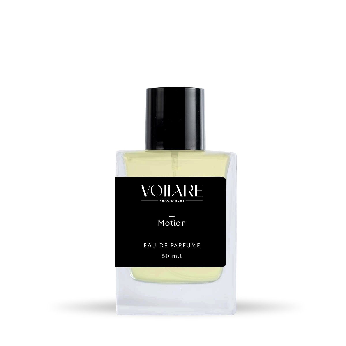 Motion Motion - Image 1